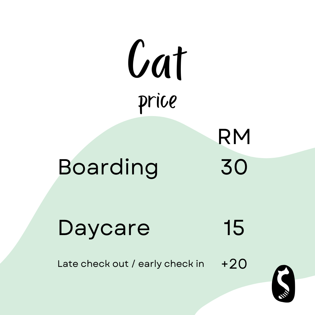 Cat 2024 daycare prices