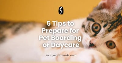 5 Tips to Prepare for Pet Boarding or Daycare