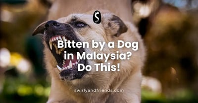 Bitten by a Dog in Malaysia? What to Do in 2024?