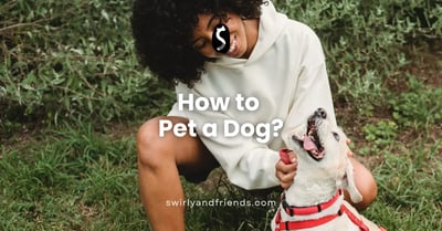 How to Pet a Dog?