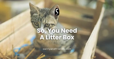How to Get a Litter Box