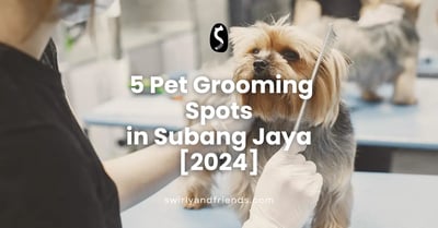 5 Pet Grooming Spots in Subang Jaya [2024]