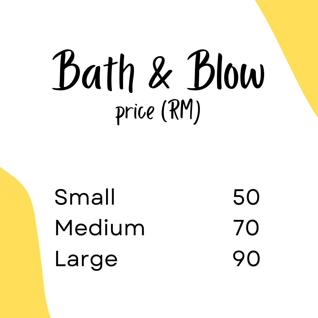 Bath & Blow