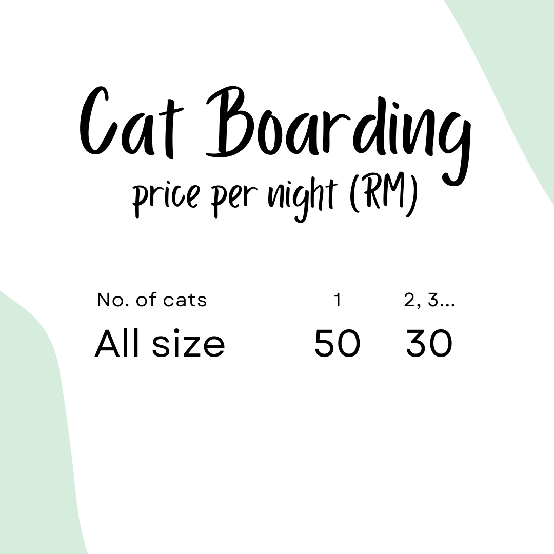 Cat Boarding