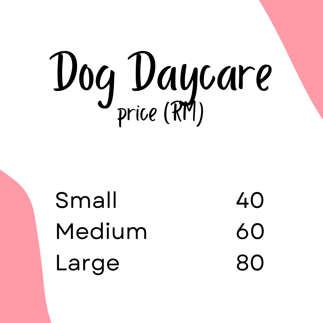 Dog Daycare