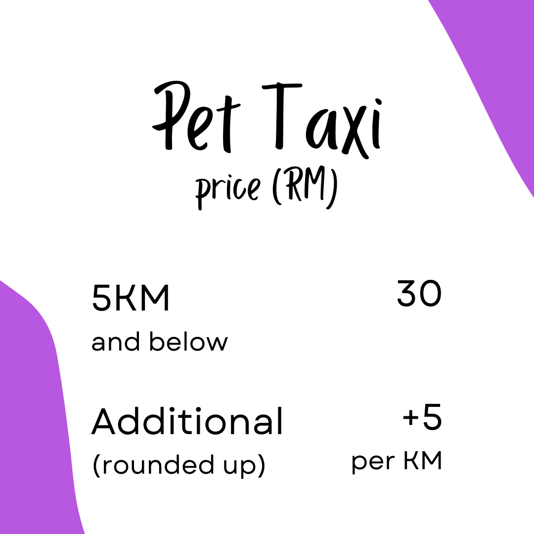 Pet Taxi