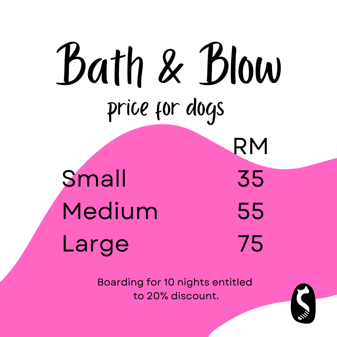 Bath and Blow