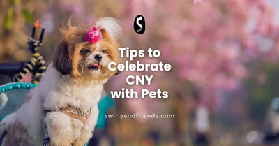 Tips to Celebrate Chinese New Year with Pets