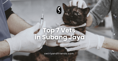 Top 7 Vets in Subang Jaya [2024]