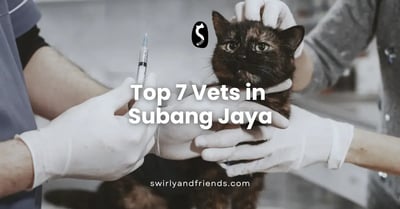 Top 7 Vets in Subang Jaya [2025]