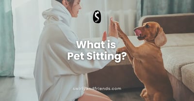 What is Pet Sitting?