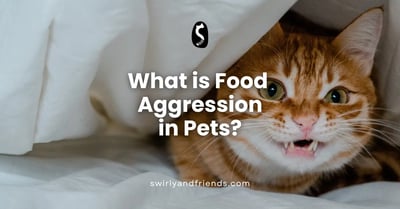 What is Food Aggression in Pets?