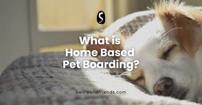 What is Home Based Pet Boarding?