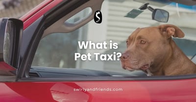 What is Pet Taxi?