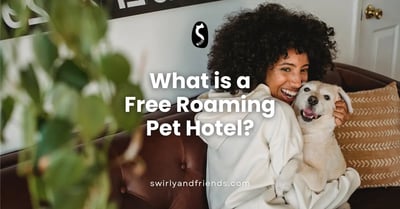 What is a Free Roaming Pet Hotel?