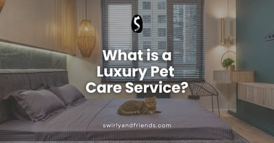 What is a Luxury Pet Care Service?